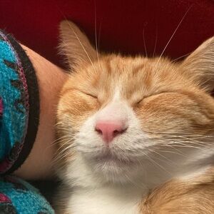 Meet your Posher, Barb